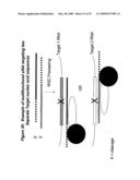 RNA INTERFERENCE MEDIATED INHIBITION OF PROLIFERATION CELL NUCLEAR ANTIGEN (PCNA) GENE EXPRESSION USING SHORT INTERFERING NUCLEIC ACID (siNA) diagram and image
