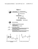 RNA INTERFERENCE MEDIATED INHIBITION OF PLACENTAL GROWTH FACTOR GENE EXPRESSION USING SHORT INTERFERING NUCLEIC ACID (siNA) diagram and image