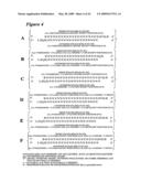 RNA INTERFERENCE MEDIATED INHIBITION OF PLACENTAL GROWTH FACTOR GENE EXPRESSION USING SHORT INTERFERING NUCLEIC ACID (siNA) diagram and image