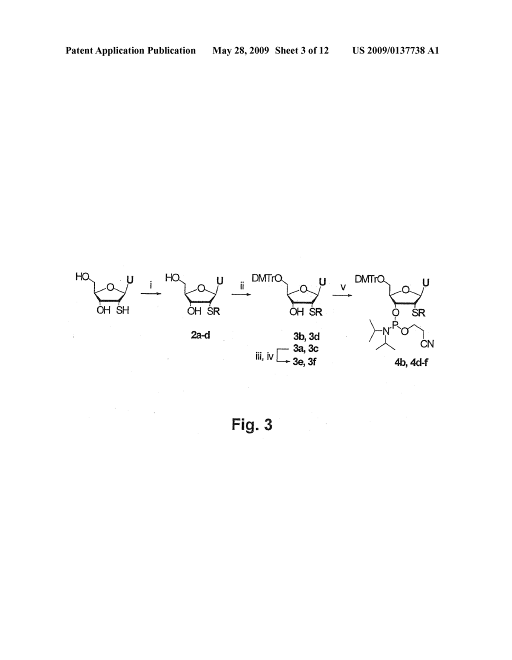 LADDER COPOLYMERS - diagram, schematic, and image 04