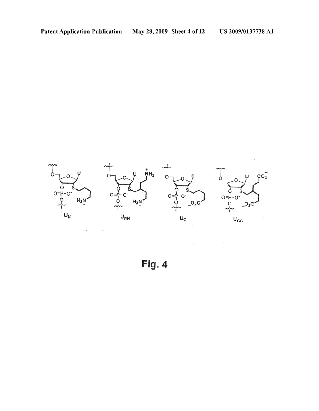 LADDER COPOLYMERS - diagram, schematic, and image 05