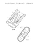 DIAGNOSTIC CAPSULE WITH PERIPHERAL IMAGING diagram and image