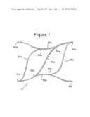 Implantable Frame and Valve Design diagram and image