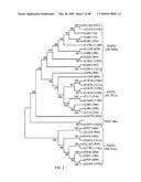 Biotic and abiotic stress tolerance in plants diagram and image