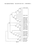 Biotic and abiotic stress tolerance in plants diagram and image