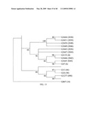 Biotic and abiotic stress tolerance in plants diagram and image