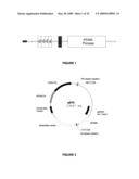 Plants having improved growth characteristics and method for making the same diagram and image