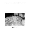 CIGARETTES AND CIGARETTE COMPONENTS CONTAINING NANOSTRUCTURED FIBRIL MATERIALS diagram and image