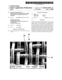 Process for producing papermaker s and industrial fabric seam and seam produced by that method diagram and image