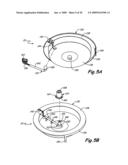 Flasher sonar device with interleaved zoom diagram and image