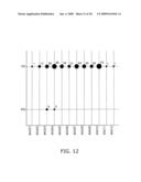 APPEARANCE INSPECTION APPARATUS, APPEARANCE INSPECTION SYSTEM, AND APPEARANCE INSPECTION APPEARANCE diagram and image