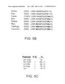 Compositions and methods related to toll-like receptor-3 diagram and image