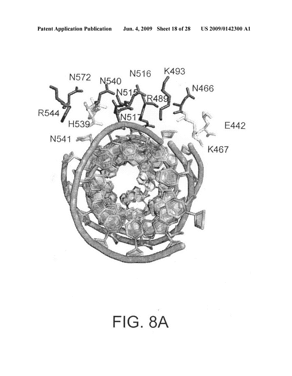 Compositions and methods related to toll-like receptor-3 - diagram, schematic, and image 19