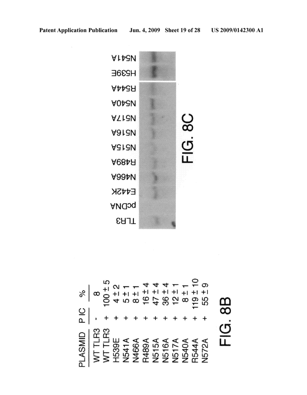 Compositions and methods related to toll-like receptor-3 - diagram, schematic, and image 20