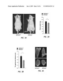 METHODS FOR TREATING A DISORDER BY REGULATING GPRC6A diagram and image