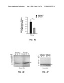 METHODS FOR TREATING A DISORDER BY REGULATING GPRC6A diagram and image