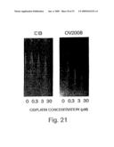 DETECTION AND MODULATION OF IAPs AND NAIP FOR THE DIAGNOSIS AND TREATMENT OF PROLIFERATIVE DISEASE diagram and image