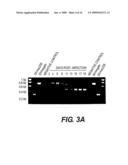 HIV RECOMBINANT VACCINE diagram and image