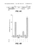 HIV RECOMBINANT VACCINE diagram and image