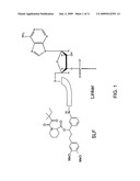 Conjugated RNAi Therapeutics diagram and image