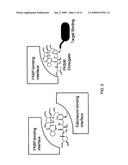 Conjugated RNAi Therapeutics diagram and image