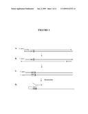 Snap-Back Primers And Detectable Hairpin Structures diagram and image