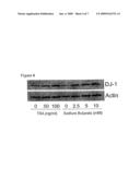 Compositions and methods for detecting compounds to treat a neurological disorder diagram and image