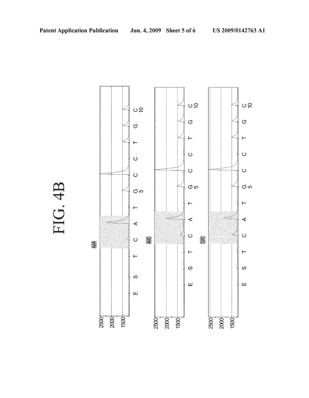 NESTED PCR-BASED METHOD FOR SPECIFIC GENOTYPING OF THE FC GAMMA RECEPTOR IIIA GENE - diagram, schematic, and image 06