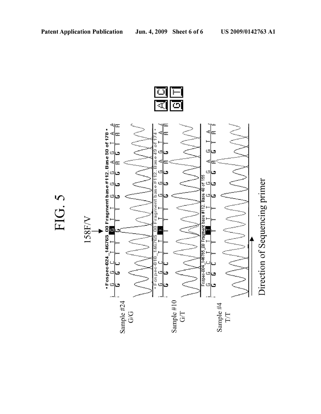 NESTED PCR-BASED METHOD FOR SPECIFIC GENOTYPING OF THE FC GAMMA RECEPTOR IIIA GENE - diagram, schematic, and image 07