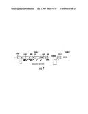 PERFORIN-2 PROTEINS diagram and image