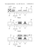 Non-Liquid Phase Type Chemiluminescent Enzyme Immunoassay Method and Assay Kit diagram and image