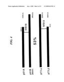 Human p51 Genes and Gene Products Thereof diagram and image