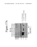 INTERLEUKIN-17F ANTIBODIES AND OTHER IL-17F SIGNALING ANTAGONISTS AND USES THEREFOR diagram and image