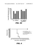 ATTENUATED RNA VIRUS AND APPLICATIONS THEREOF diagram and image