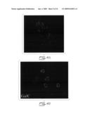 Multipotent stem cells from peripheral tissues and uses thereof diagram and image