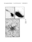 Multipotent stem cells from peripheral tissues and uses thereof diagram and image