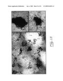 Multipotent stem cells from peripheral tissues and uses thereof diagram and image