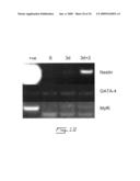 Multipotent stem cells from peripheral tissues and uses thereof diagram and image