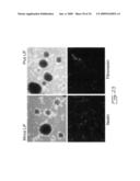 Multipotent stem cells from peripheral tissues and uses thereof diagram and image