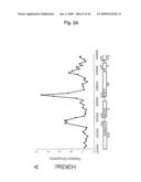 Novel Methods for Genome-Wide Location Analysis diagram and image