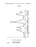 Novel Methods for Genome-Wide Location Analysis diagram and image