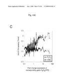 Novel Methods for Genome-Wide Location Analysis diagram and image