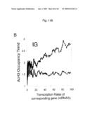 Novel Methods for Genome-Wide Location Analysis diagram and image