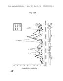 Novel Methods for Genome-Wide Location Analysis diagram and image