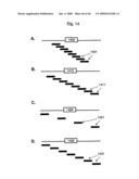 Novel Methods for Genome-Wide Location Analysis diagram and image