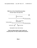 MICROARRAY SYSTEM WITH IMPROVED SEQUENCE SPECIFICITY diagram and image