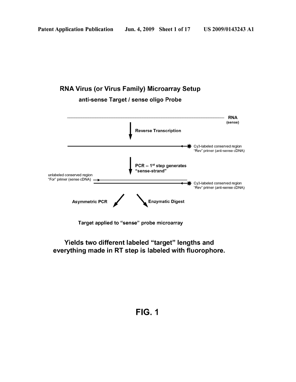 MICROARRAY SYSTEM WITH IMPROVED SEQUENCE SPECIFICITY - diagram, schematic, and image 02