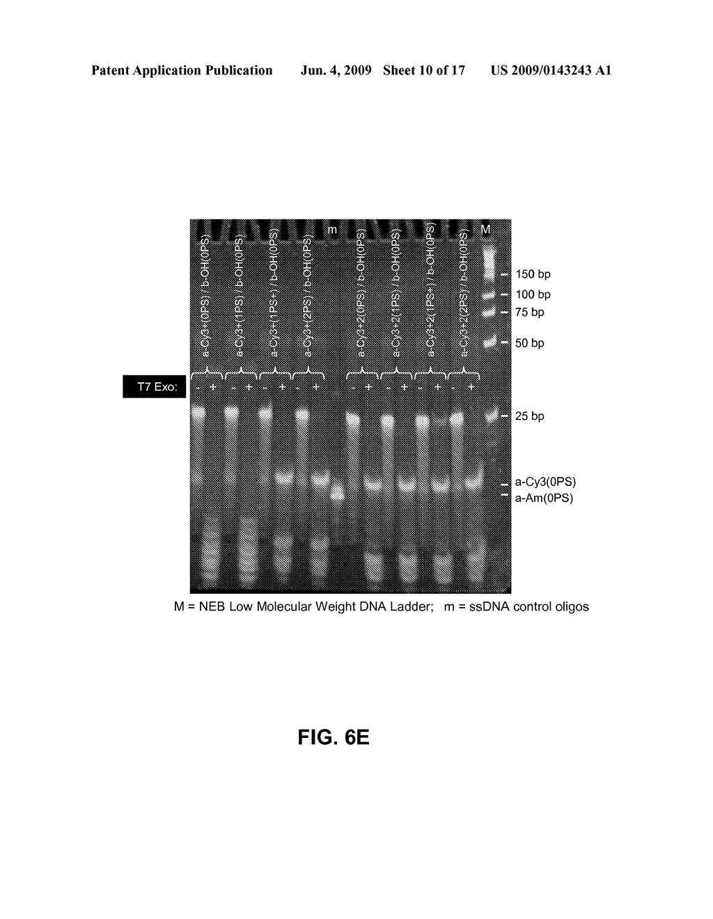 MICROARRAY SYSTEM WITH IMPROVED SEQUENCE SPECIFICITY - diagram, schematic, and image 11