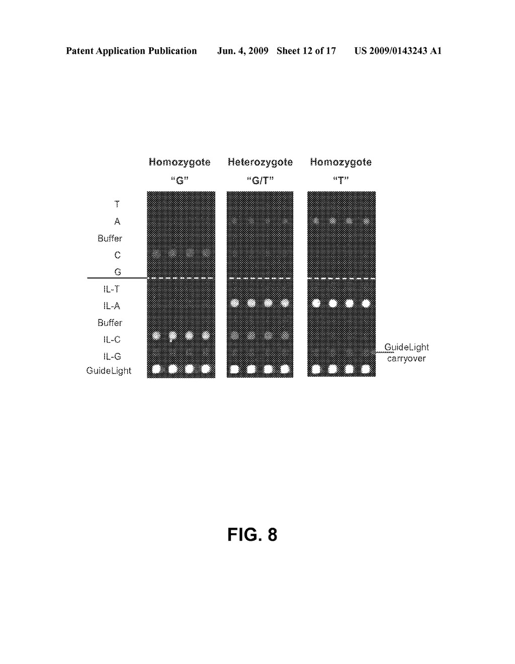 MICROARRAY SYSTEM WITH IMPROVED SEQUENCE SPECIFICITY - diagram, schematic, and image 13