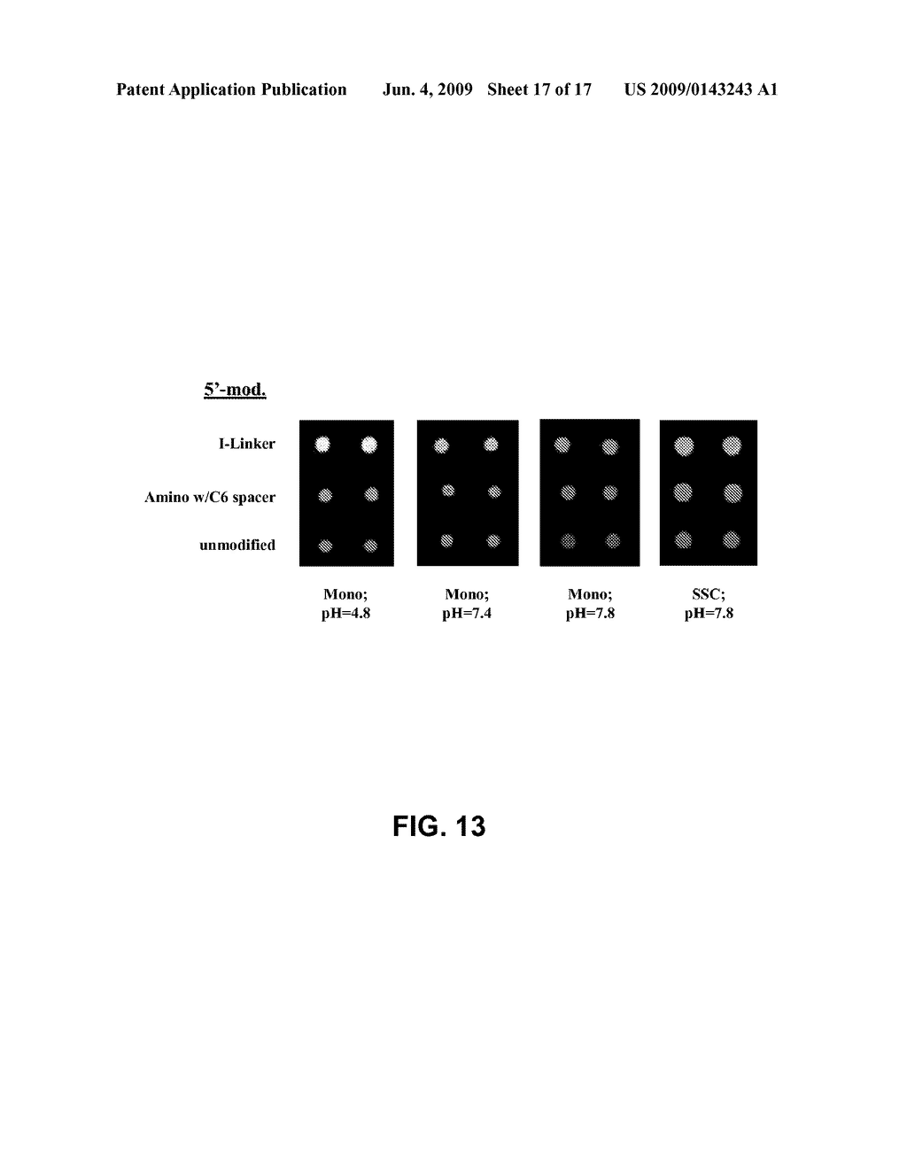 MICROARRAY SYSTEM WITH IMPROVED SEQUENCE SPECIFICITY - diagram, schematic, and image 18